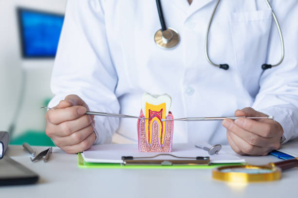 Best Dental Abscess Treatment in Perryville, AR